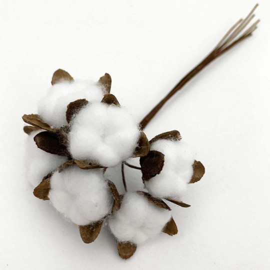 6 White Fuzzy Cotton Bolls for Crafts ~ 7/8" across